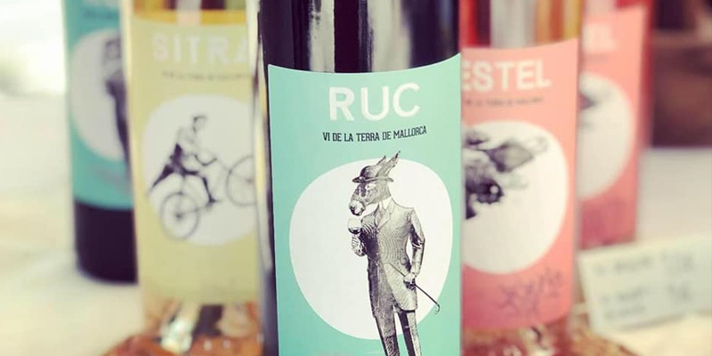 cosas que debes saber sobre los vinos ecológicos