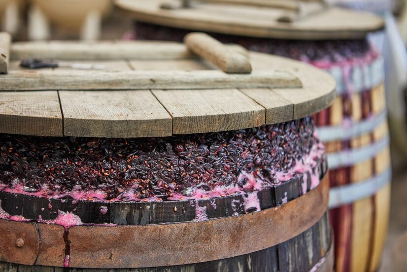 Proceso de fermentación en los vinos ecológios de Mallorca