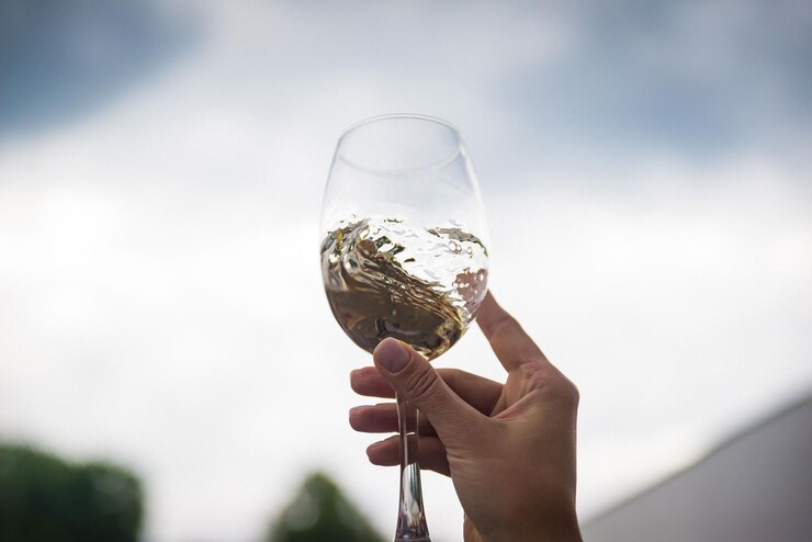 Los vinos ecológicos una alternativa sostenible para el cambio climático